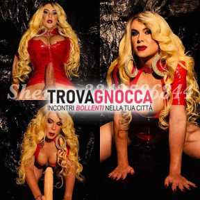 🦋nuova🦋nuova🦋 sheron transex bionda •super attiva• cavallona 22cm ricca latte 💦💦💦 🦋nuova🦋nuova🦋 sheron transex bionda •super attiva• cavallona 22cm ricca latte 💦💦💦
