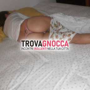 cerco vera cagna calore cerco vera cagna calore