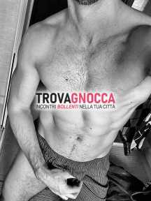 fit boy soft o completo v. foto