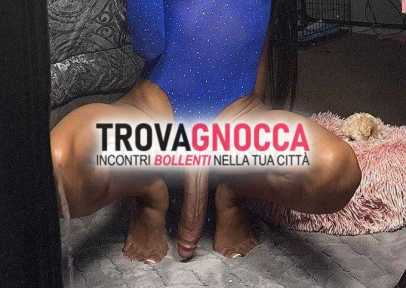 conegliano san fior ✨✨autentica porca✨✨melissa trans.sensuale e fino allo stremo desiderio godere insieme te piacere naturale.ap