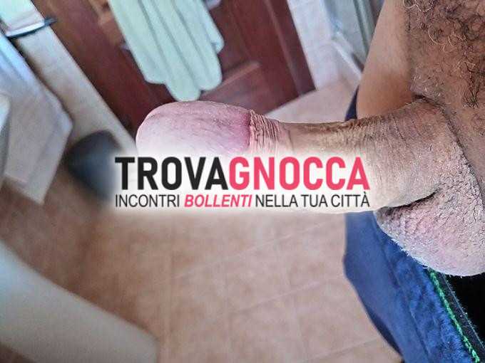 cerco coppia dove lei sia vera troia affamata cazzo e pronta divertirsi.