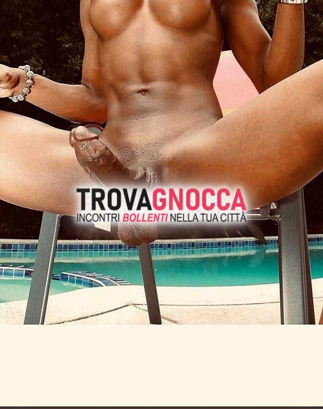 haylla trovato trans