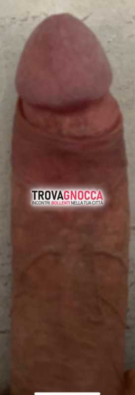 cerco buon divertimento