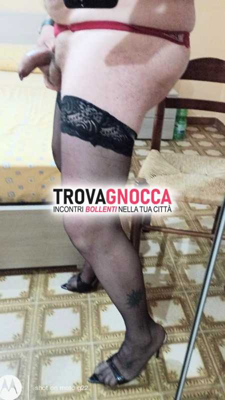 cerco trav trans e porci
