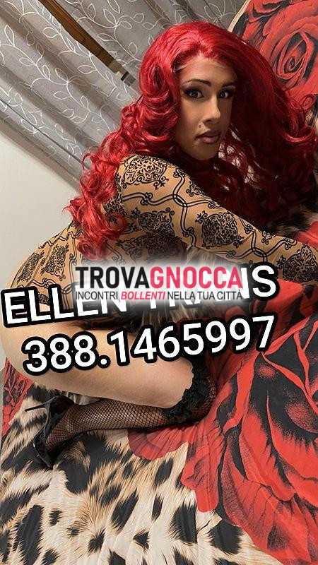 torre pontina lt
top cavallona muscolosa transessuale super completa tutto.