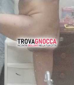 cerco attivo che ospiti ok colore