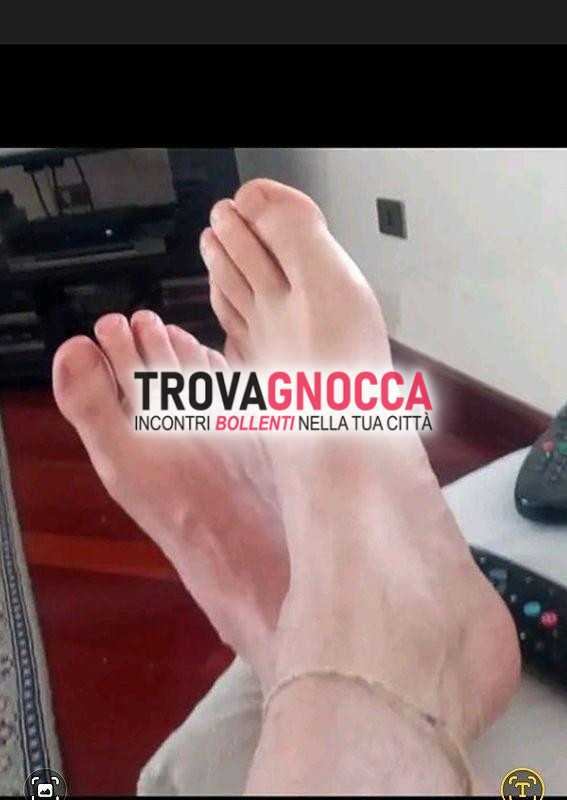 cerco leccapiedi