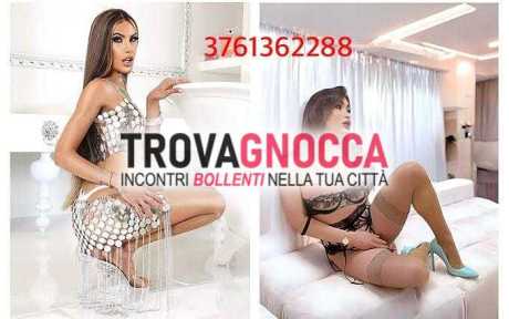 due transessuali 
dafinny doll kettley lovato ⭐️⭐️⭐️⭐️⭐️una coppia davvero porca pronta offrirti un'esperienza indimenticabile