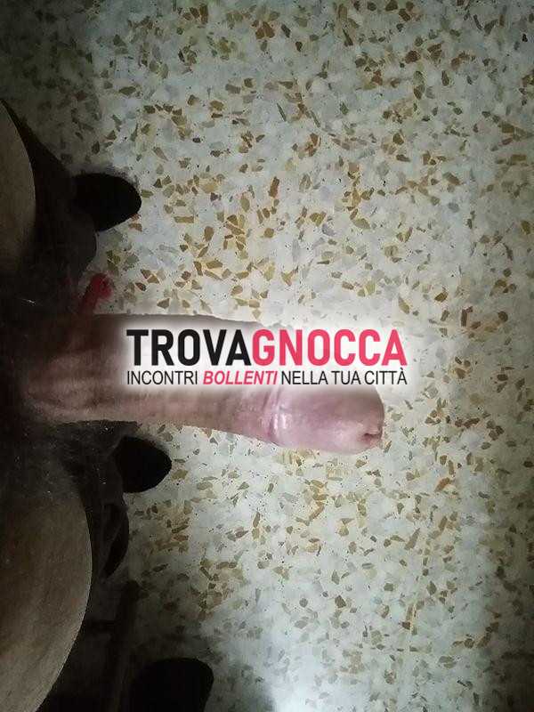 bull maturo cerca ragazza o donna sposata passione intensa e seggiolata