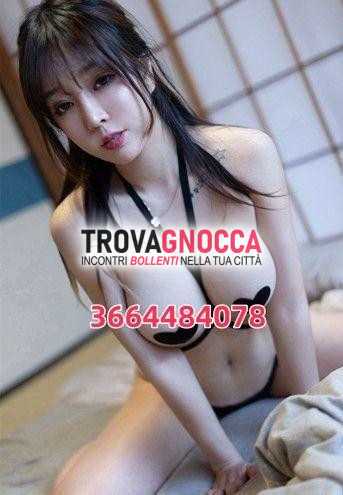 👗👗nuova orientale--👗lato b👗 carina giovane e buon temperamento se sei indeciso lasciati conquistare andiamo subito