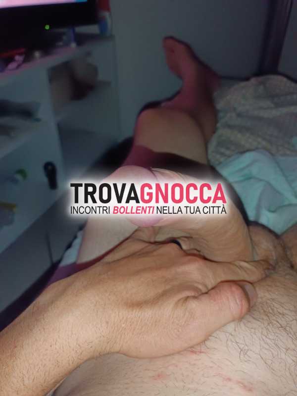 cerco ermafrodita