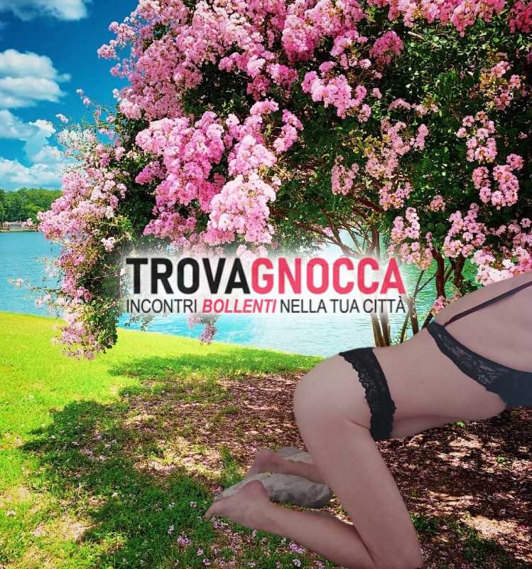 cerco amico giochi