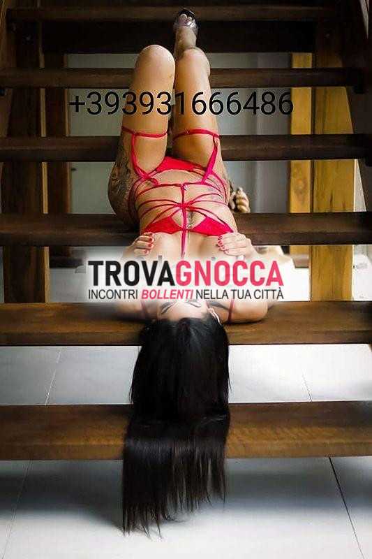 alexia transessuale🥇 putanella 🥇 regina sesso 🔞 giovane e focosa propone momenti intensi chi È cercando un'esperienza passiva o attiva nel sesso