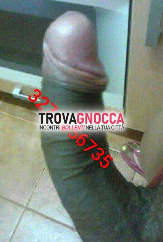 veronica party 🎊🎉❄️🔥💋transex 👑 porca e trasgressiva 🐽 20 cm🐷 ricca crema 💦 super completa. sia attiva che passiva
