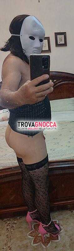 troia monta