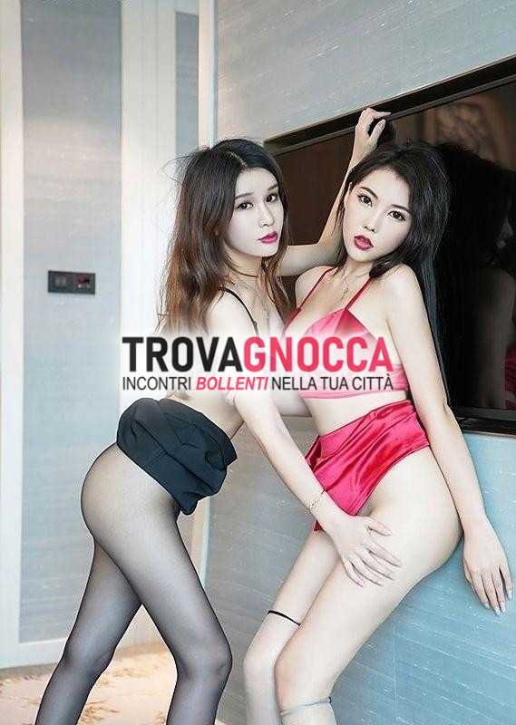 ❤️❤️❤️ 2424 sempre pronte gtgtgtgtgtgtgtgtgt donne deliziose e sensuali tuo assoluto relax ltltltltltltltlt ❤️❤️❤️