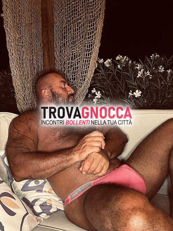 alfo licola