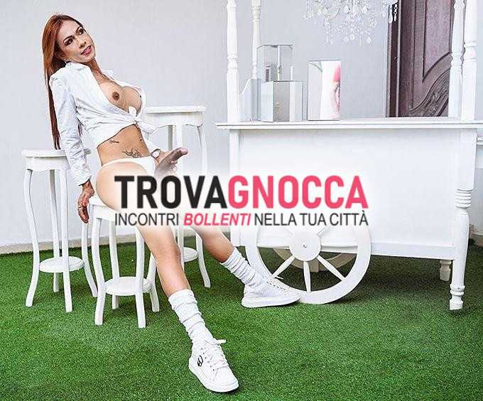 erika 💯💯🎀🏳️‍⚧️ 💯 🔥 transessuale 🎀🍆 porca🔥🎀🔥🎀💥🧨 adoro esplodere tue fantasie maschi culi sfondare vi aspetto 🧨💥 ap