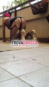 travestito amatoriale pompinaro occasionale travestito amatoriale pompinaro occasionale
