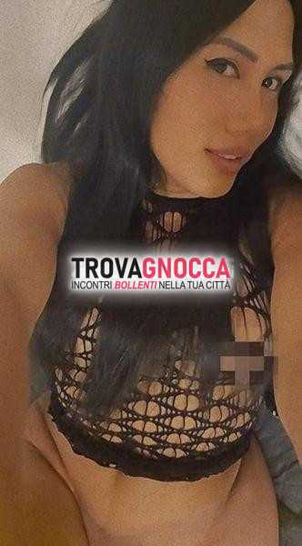 gallarate nuova citta 💋🌷 grazie 🌷 💋 È mia prima volta qui 💋💋💋 bellissima e senza tabÙ 💋💋💋