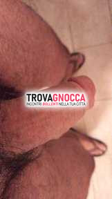 disponibile attivamente tutta serata