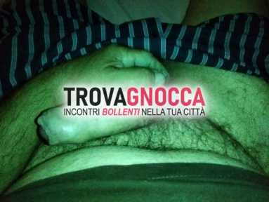 insieme trans