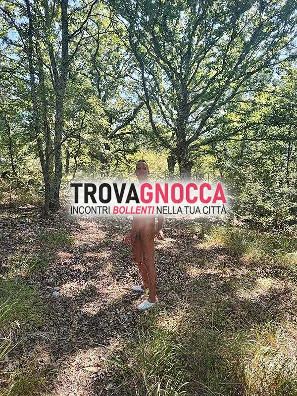 ricerca attivi e versatili un'esperienza puro svago.