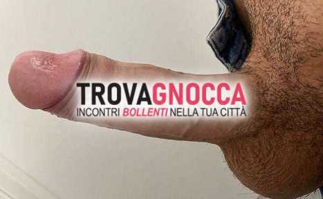 bull siciliano tua donna scorri immagini e scopri