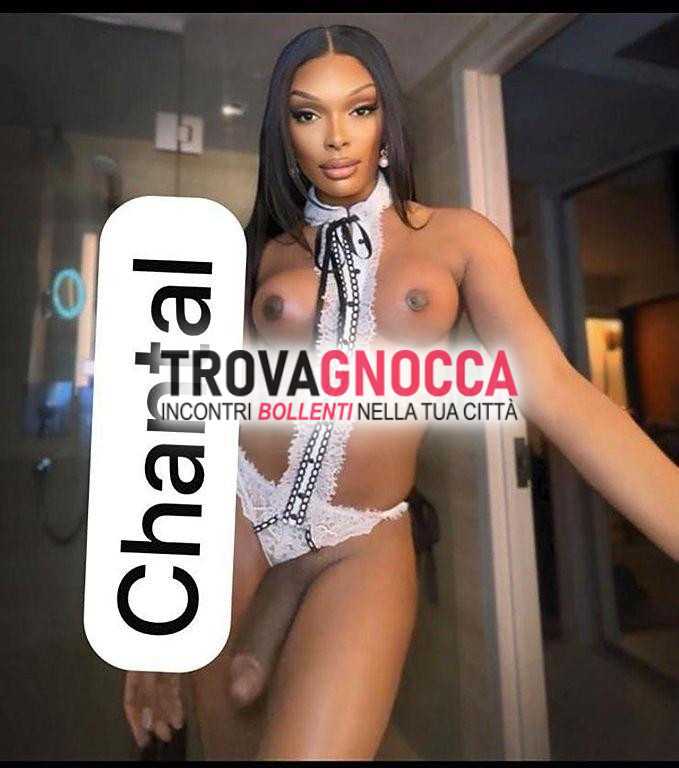 prima volta italia app È arrivata 🔥 transessuale 23 enne __ bambolina naturale super completa ogni tipo rapporto. ovunque