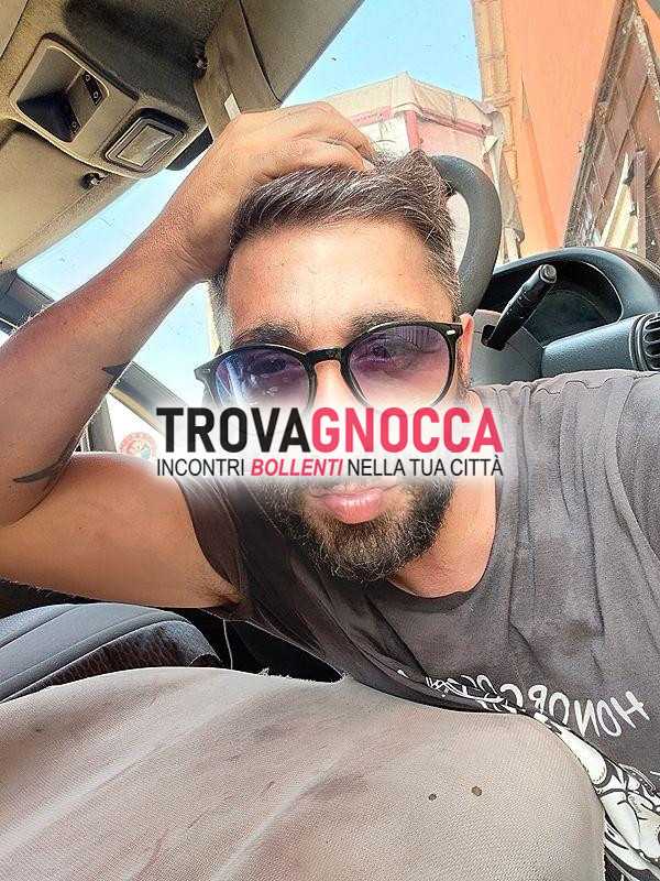 vuoi compagnia