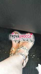 donna meravigliosa e dolcissima casalinga pronta sua prima volta esclusivamente videochiamate e chat. offriamo un'esperienza amatoriale unica che non dimenticherai mai 💯💯📞🔝💯🎬💜💜🔥💋💦🍓🍭💖💄