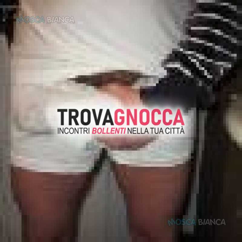 accattivante simpaticissimo bolognese 55enne ottima presenza assoluta serieta' ospitale cerca lei decisa carina femminile intrigante coinvolgente