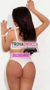 lola top trans