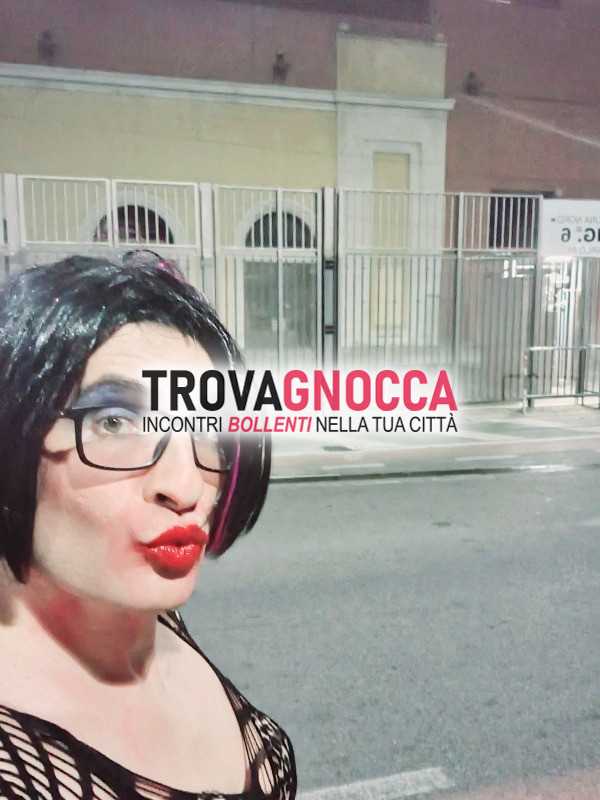 trav ingoia