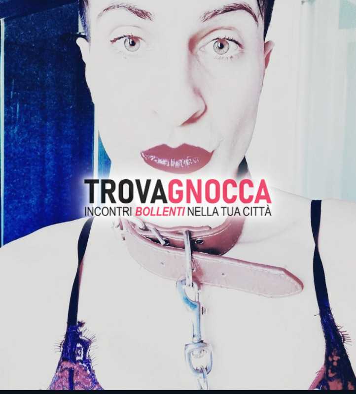 trav ingoia