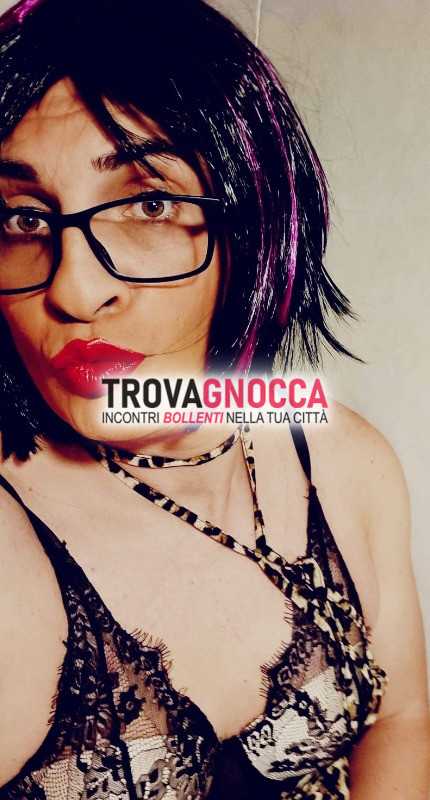 trav ingoia