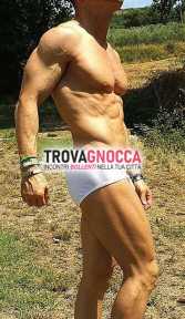 compagno signore.