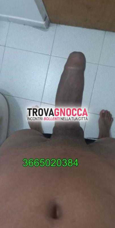 nomentana kelvin ragazzo cubano estremamente appassionato e divertente sono qui incontrarti dove desideri