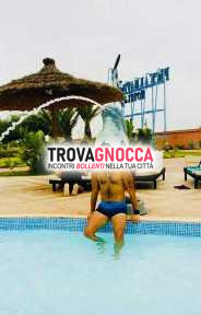 arabo cavallo hutt🔥🔥🔥