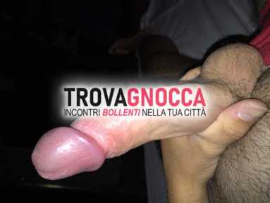 cerco qualsiasi