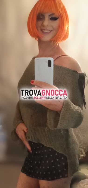 micia calore