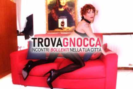 angy transex