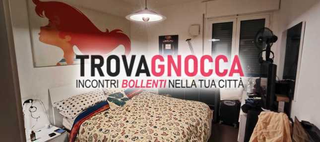 ospito studentessa o ragazza straniera se disponibile
