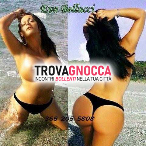 💖👄💄a lamezia terme eva bellucci nome che inspira fiducia. donna dalla bellezza mediterranea pronta regalarti momenti pura trasgressione. no anonimi
