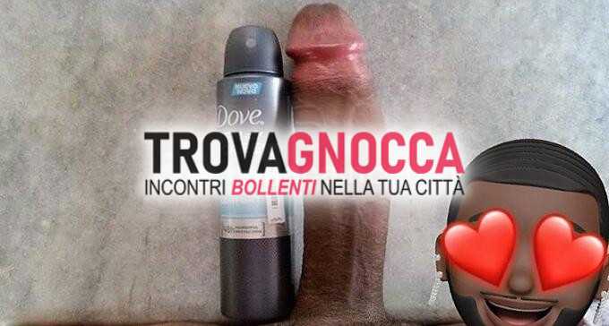 nuova servanera casalotti vera delizia cubana autentico toro carico passione e dolcezza