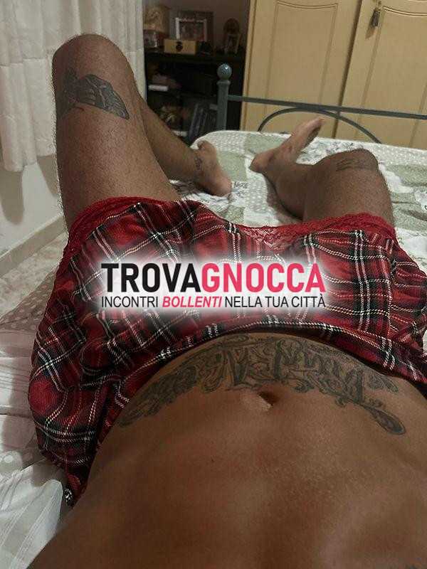 cerco dotatio