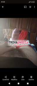 vi massaggio sesso serata divertente dotato cervello e cazzo vostro benessere sessuale e psichico massaggio tantrico e non e tanto buon sesso tutto gratuito chiedo solo pulizia e rispetto vengo domicilio anche accompagnatore serate vi massaggio sesso serata divertente dotato cervello e cazzo vostro benessere sessuale e psichico massaggio tantrico e non e tanto buon sesso tutto gratuito chiedo solo pulizia e rispetto vengo domicilio anche accompagnatore serate
