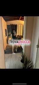bella ragazza