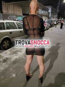 coppia maiali che scoppia