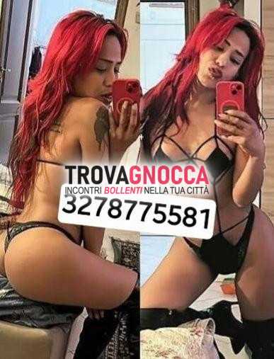 trento sud💯❌️💯🔥🔥❄️❄️transessuale 🐷 quello che vedi È solo l'inizio ciÒ che scoprirai 🐷